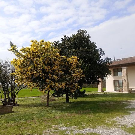 Agriturismo Trabucco Casale sul Sile Exteriér fotografie