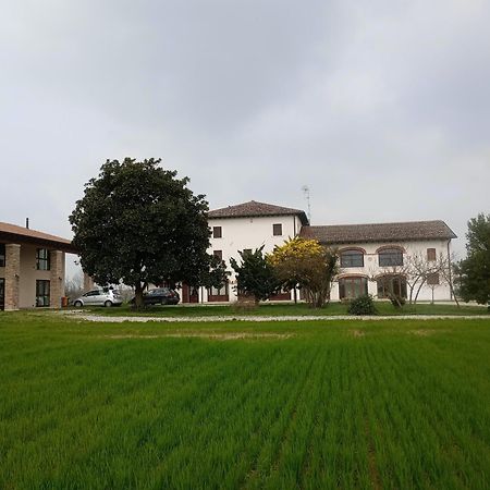 Agriturismo Trabucco Casale sul Sile Exteriér fotografie