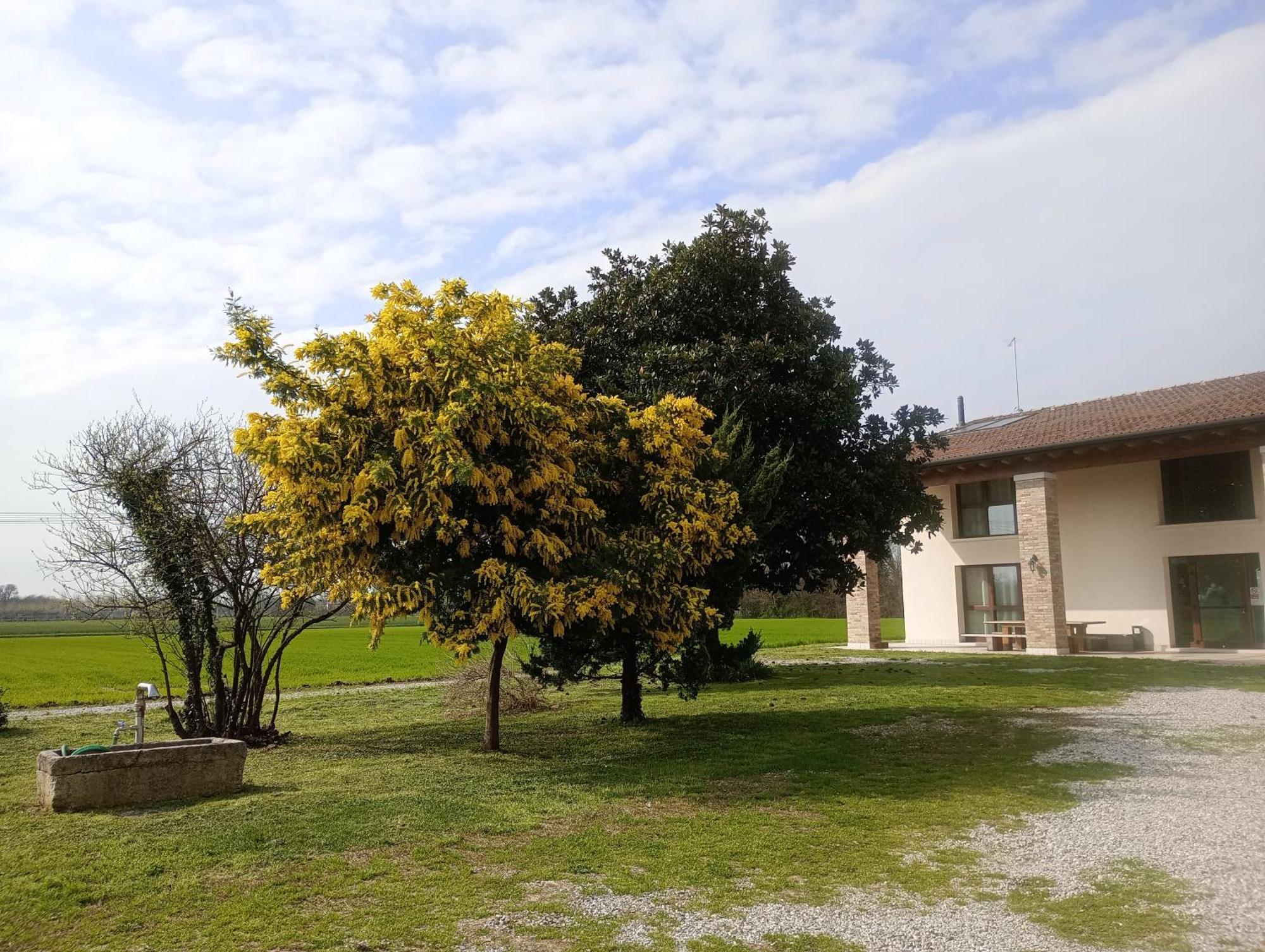 Agriturismo Trabucco Casale sul Sile Exteriér fotografie