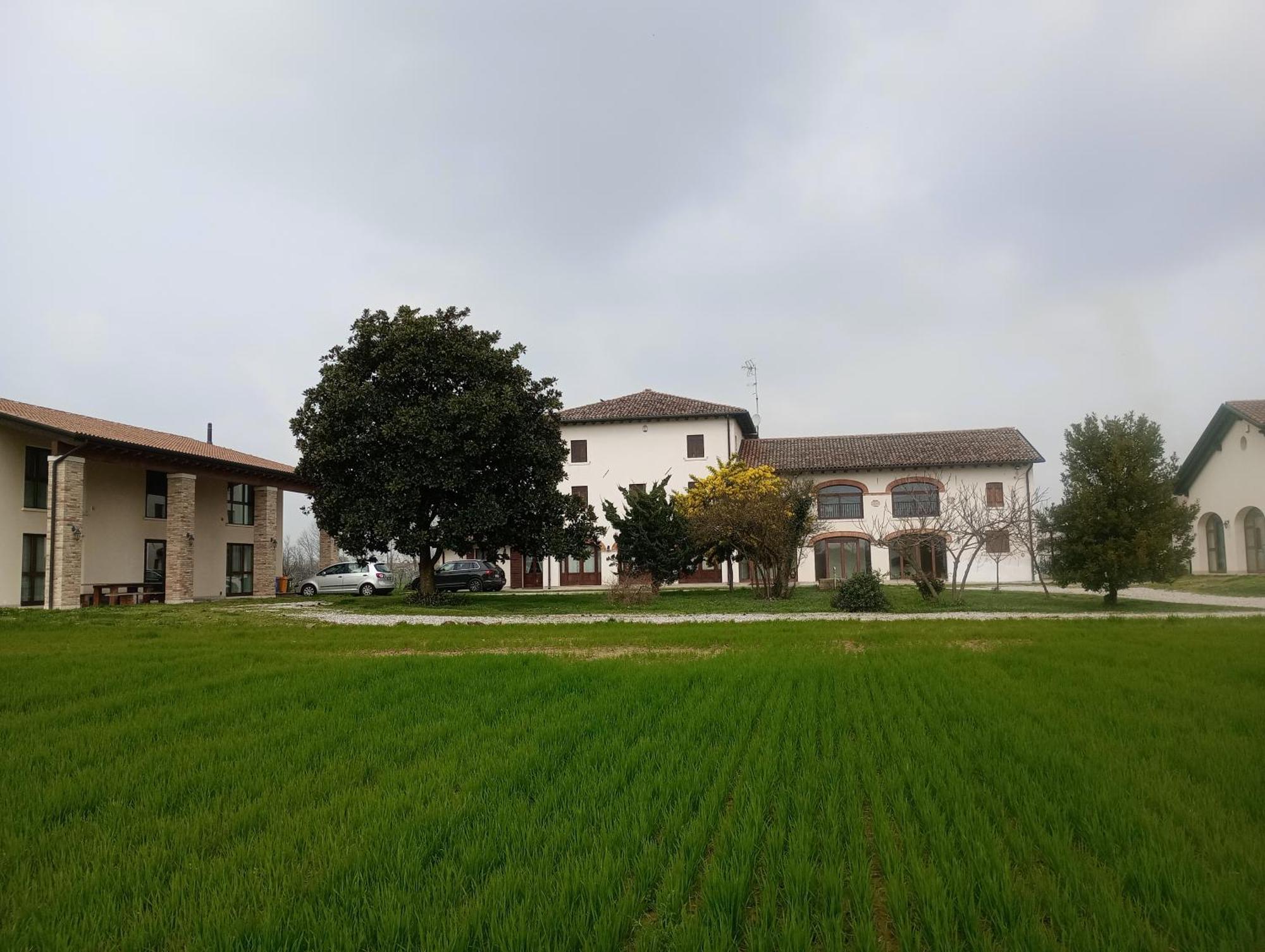 Agriturismo Trabucco Casale sul Sile Exteriér fotografie