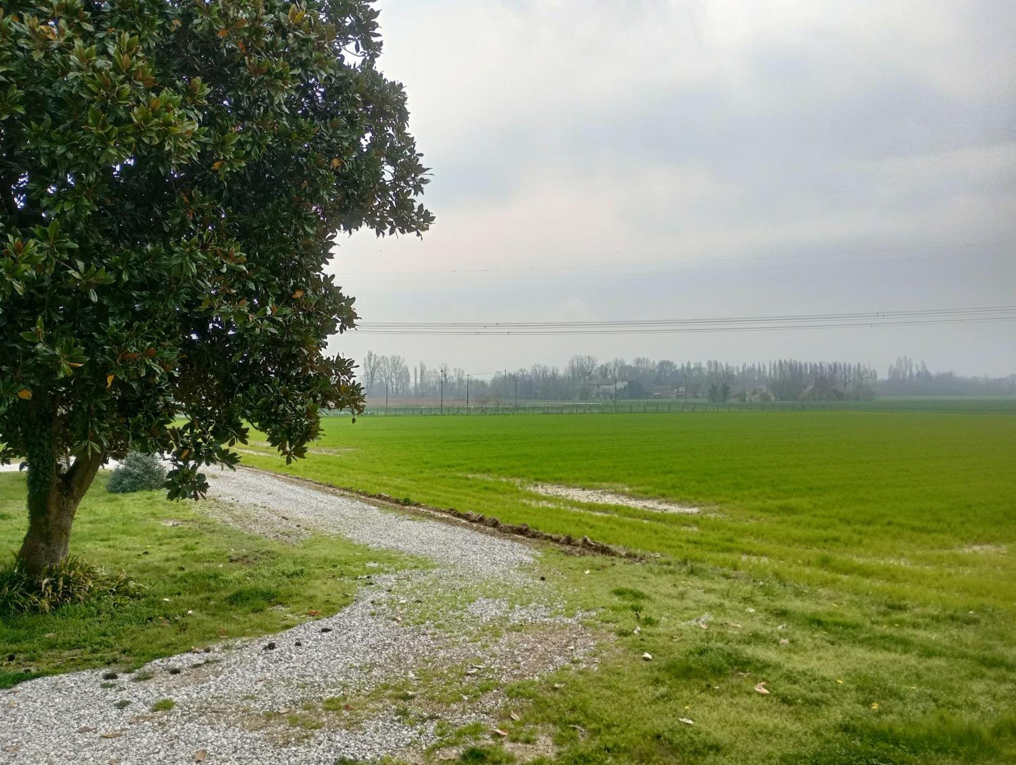Agriturismo Trabucco Casale sul Sile Exteriér fotografie
